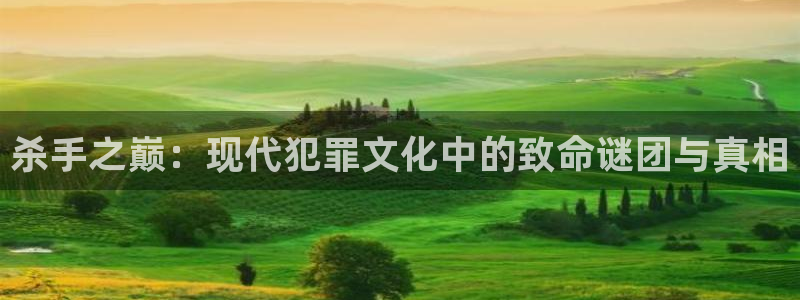杀手之巅：现代犯罪文化中的致命谜团与真相