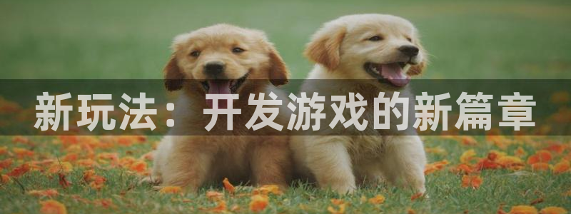 新玩法：开发游戏的新篇章