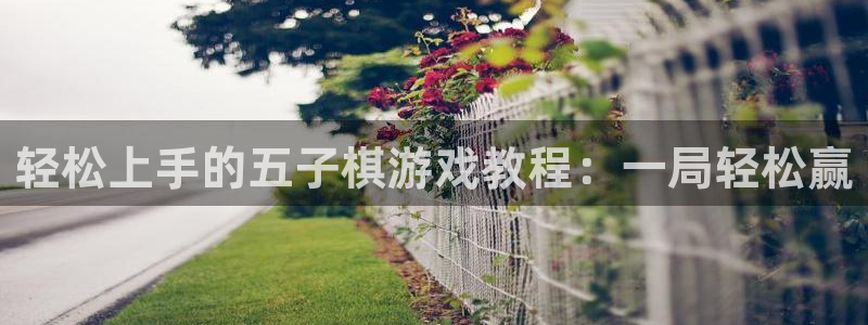欧陆娱乐平台登陆地址是什么样的：轻松上手的五子棋游戏教程：一