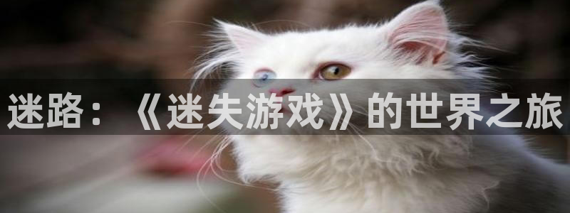 欧陆娱乐平台登陆地址是什么意思