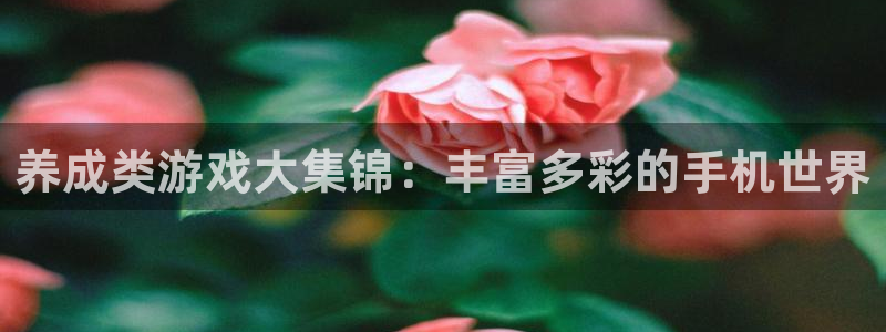 欧陆娱乐平台登陆地址是什么样的：养成类游戏大集锦：丰富多彩的