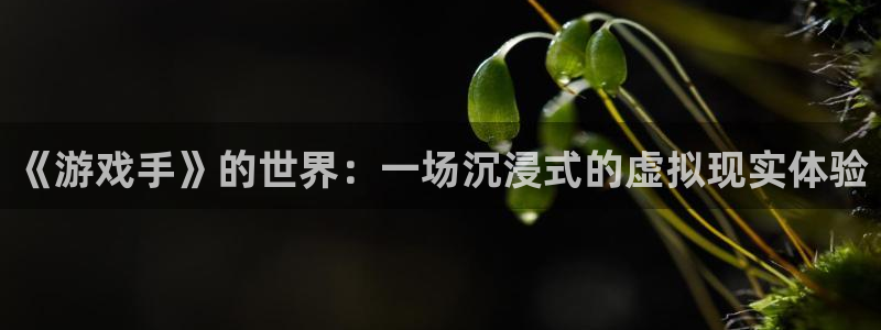 欧陆娱乐app官网下载地址在哪：《游戏手》的世界：一场沉浸式