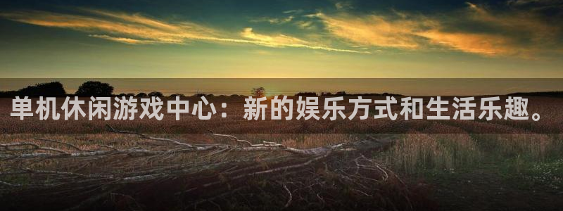 欧陆娱乐平台有哪些：单机休闲游戏中心：新的娱乐方式和生活乐趣