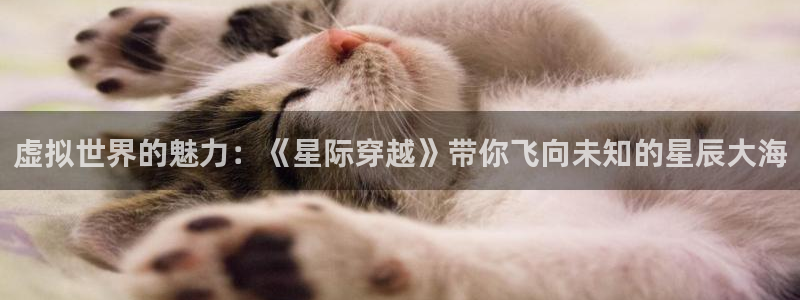 欧陆娱乐负责人探索夯坡空间